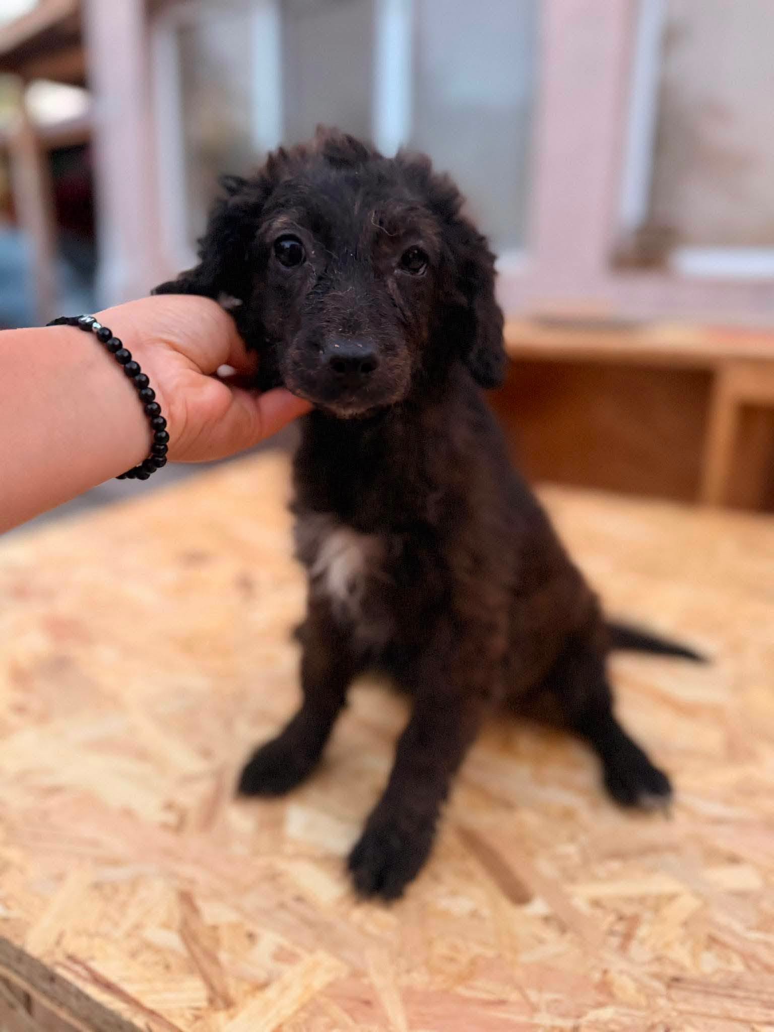 Tilly
